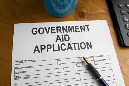 government assistance program