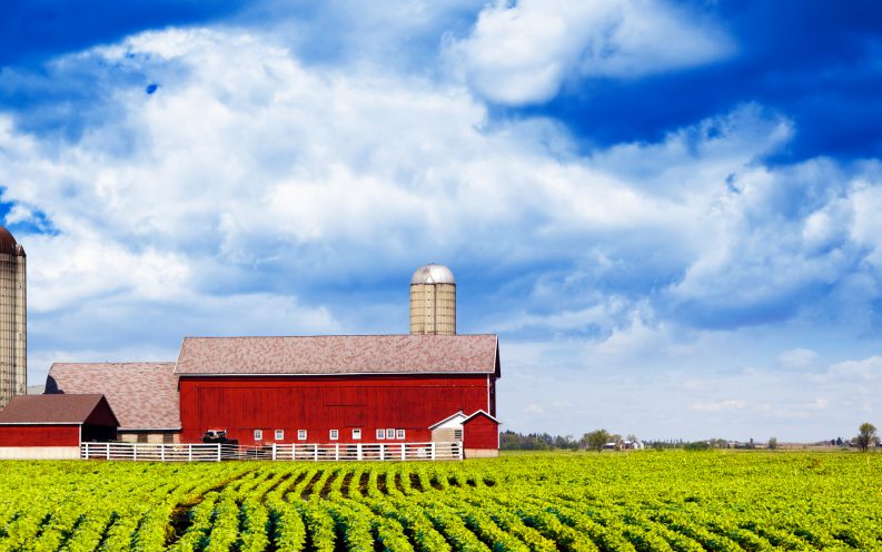 Iowa farmland barn Iowa farmland barn