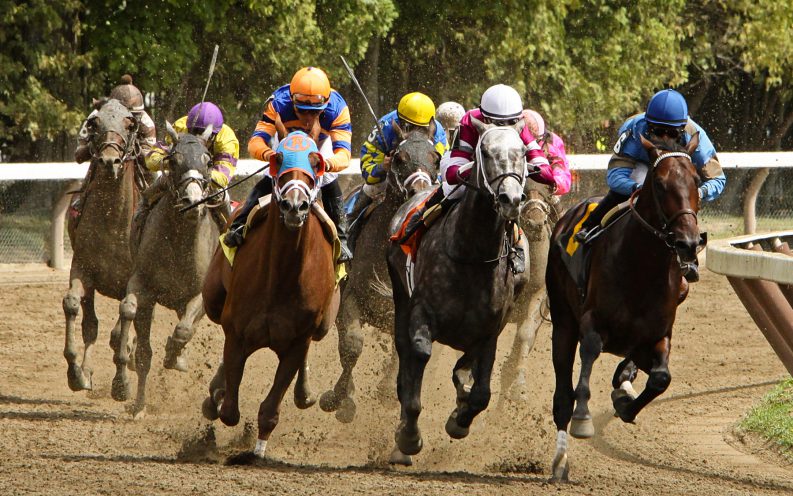 Kentucky derby horse race Kentucky derby horse race