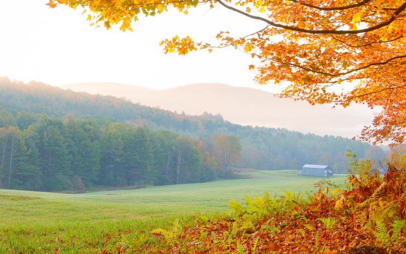 Vermont trees autumn fall landscape Vermont trees autumn fall landscape