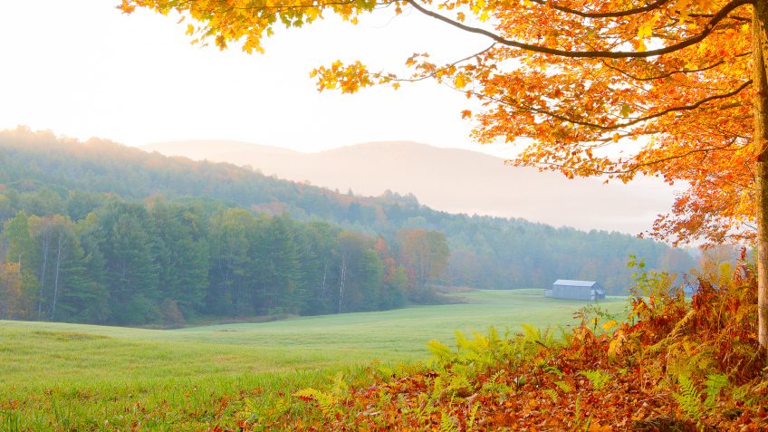 Vermont trees autumn fall landscape Vermont trees autumn fall landscape