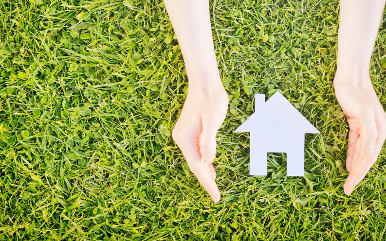 hands house grass hands house grass