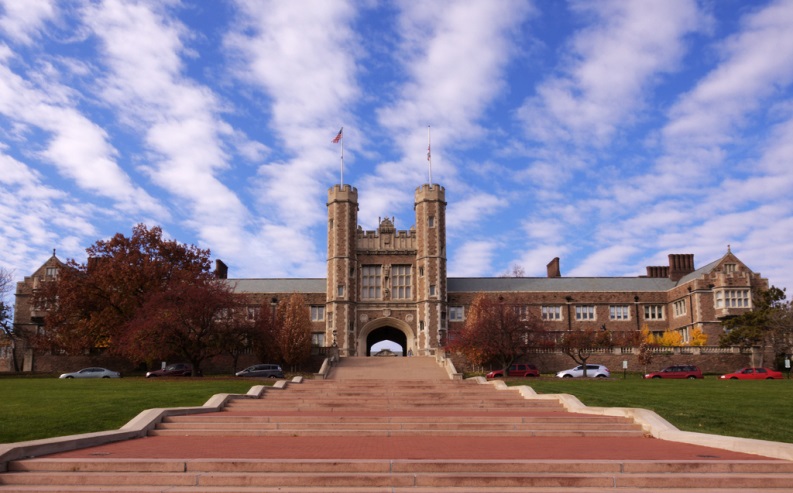 washington university in st. louis