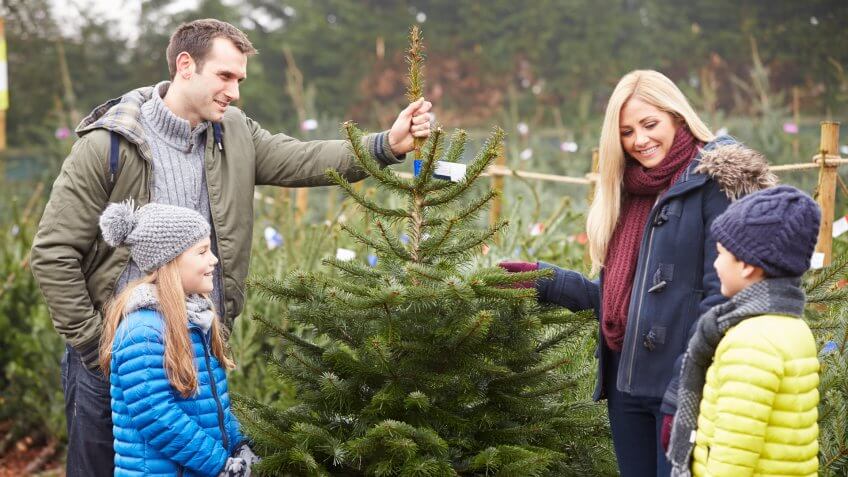 christmas-tree