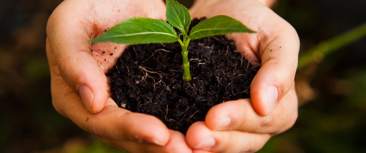 7 Strategies for Growing Your Savings Account to $1 Million 7 Strategies for Growing Your Savings Account to $1 Million