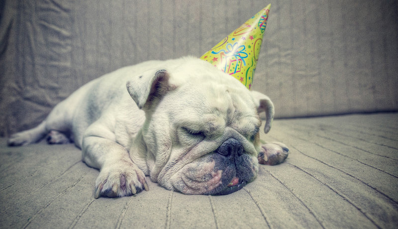 How to Recover From a Holiday Spending Hangover How to Recover From a Holiday Spending Hangover