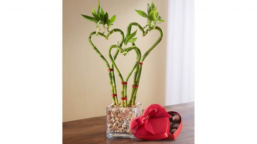 bamboo heart bouquet