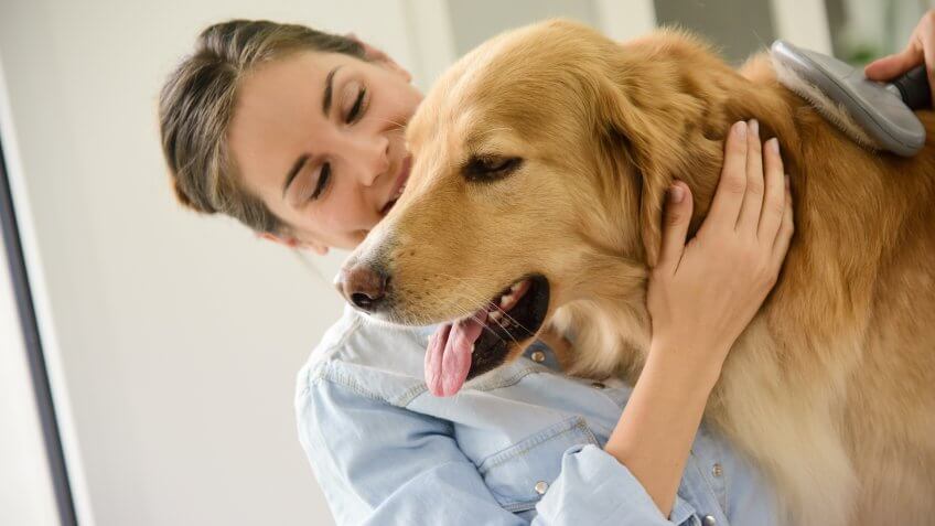 Foster Pet Parent Deductions