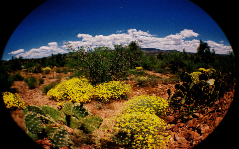 arizona.jpg