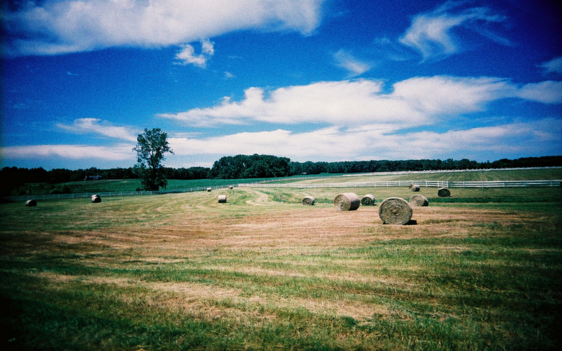 indiana.jpg