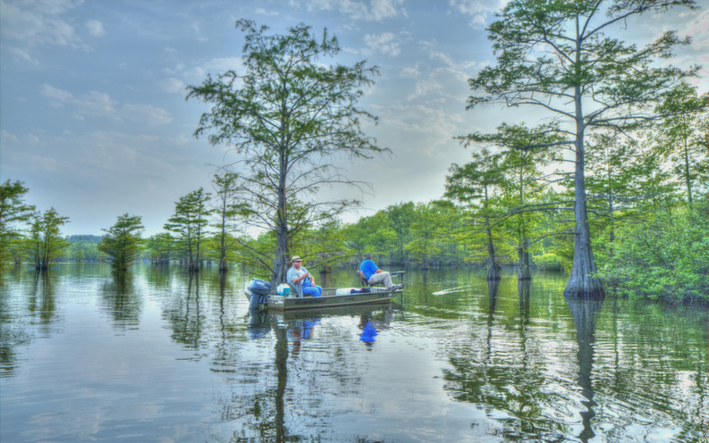 louisiana.jpg