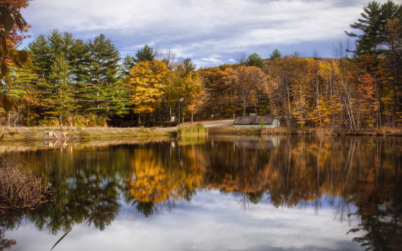 new_hampshire_1.jpg