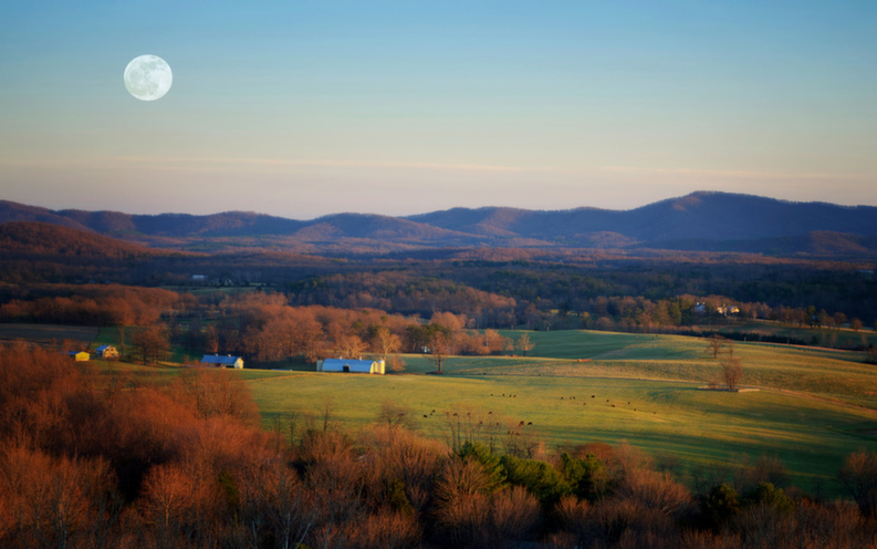 virginia.jpg