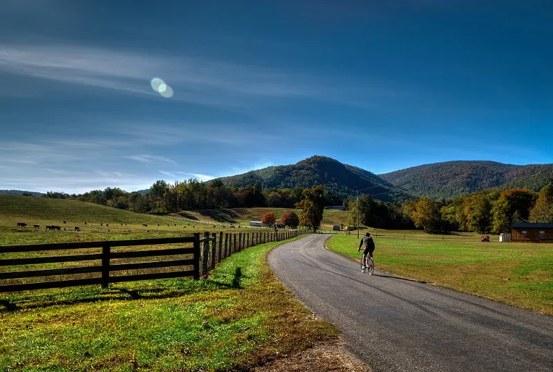 Virginians Pay Some of the Highest Income Taxes