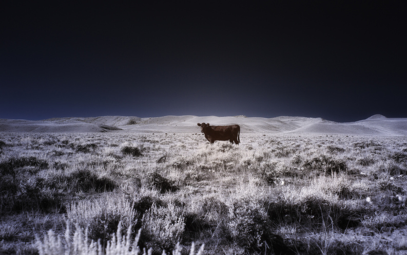 wyoming.jpg
