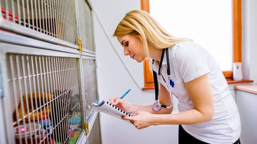Adopting Helps Animal Shelters Provide Care