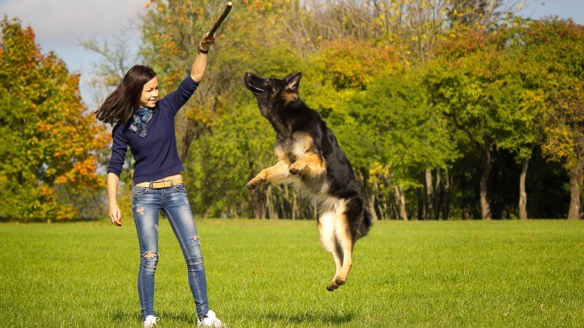 Shelter Pets Can Bring You Joy and Good Health