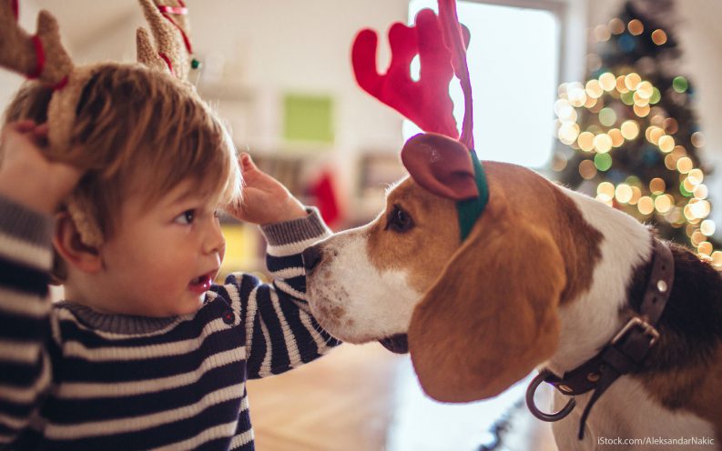 13 - Saving for holiday gifts
