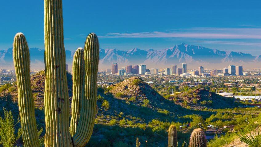 Midtown Phoenix skyline with several cacti and desert hills in the foreground.