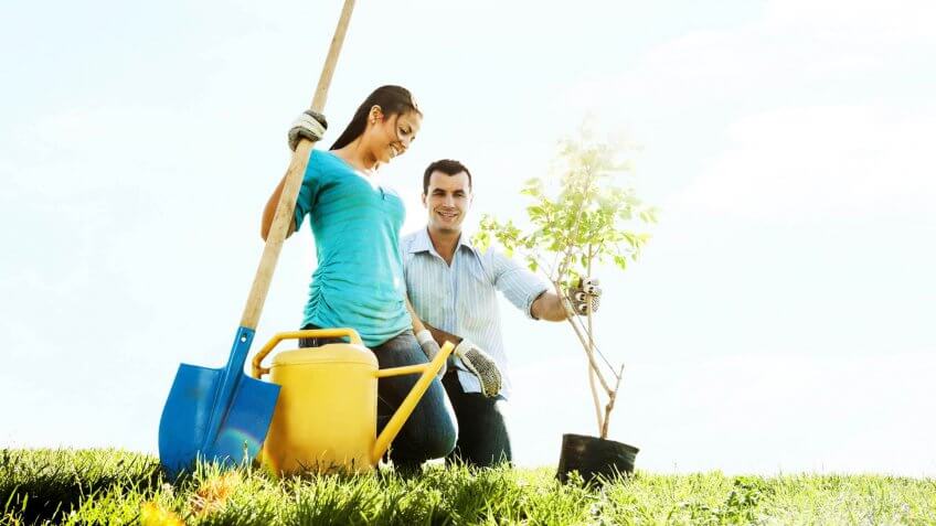 couple planting a tree together