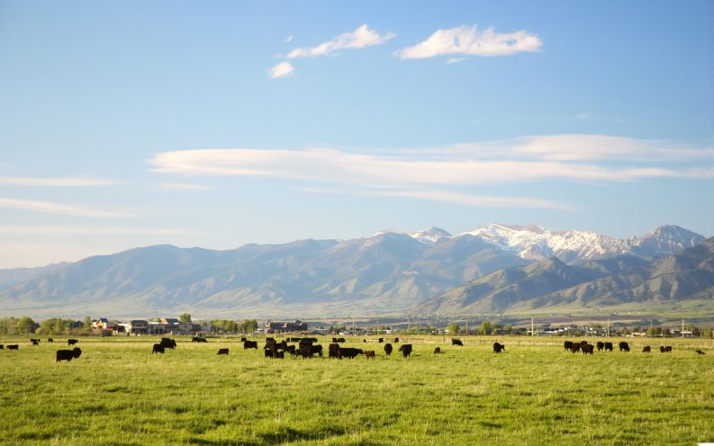Montana interest rates Montana interest rates