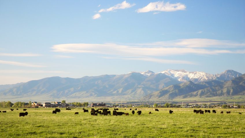 Montana interest rates Montana interest rates
