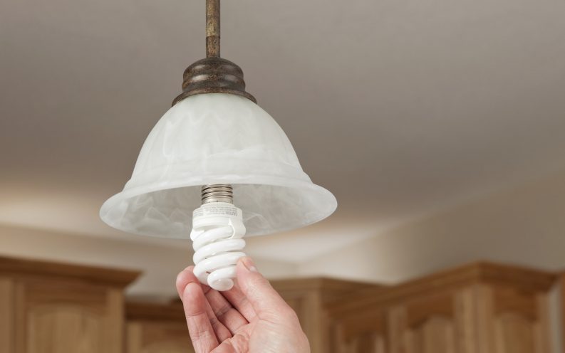 Amazon light bulbs Amazon light bulbs