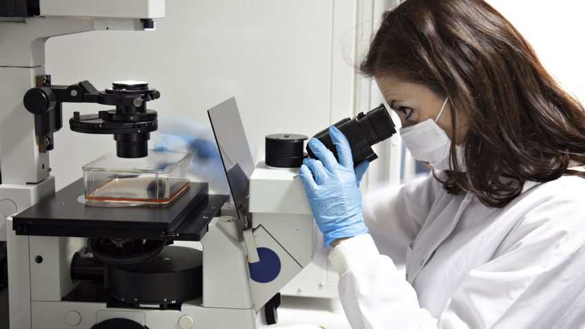 stem cell treatment