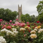 Best Colleges to Work for