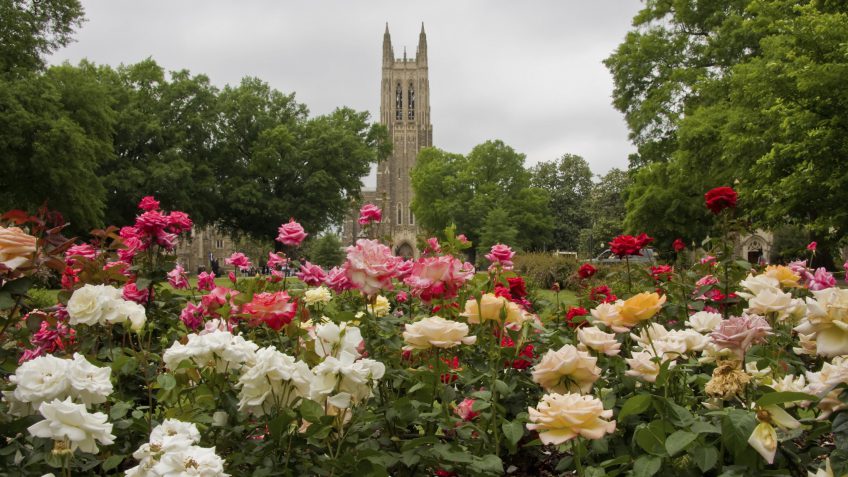 Best Colleges to Work for