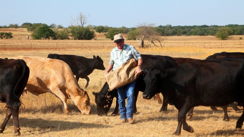 Oklahoma farmer or rancher