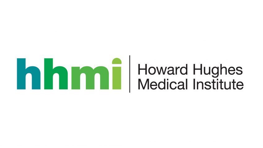 Howard Hughes Medical Institute Essays