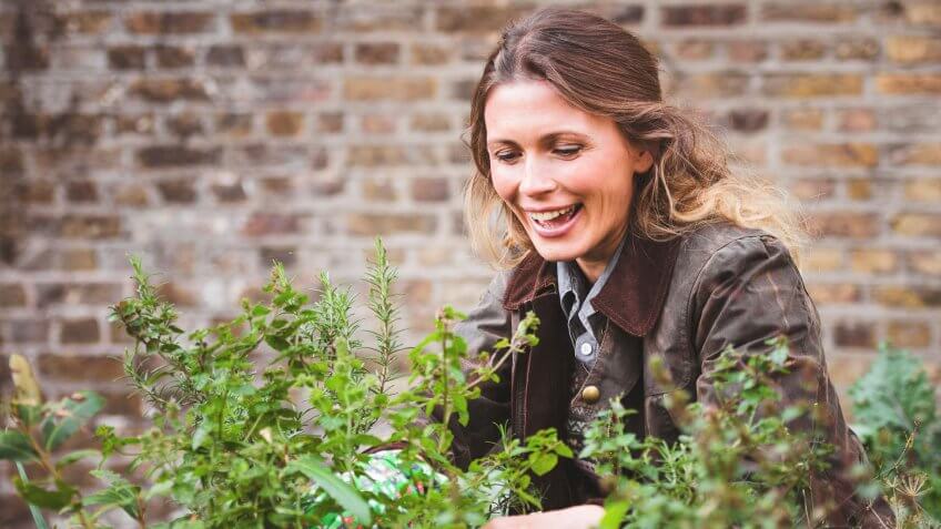 woman planting a garden