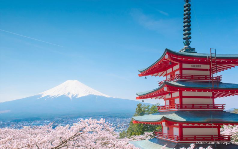 Japan travel cherry blossoms Japan travel cherry blossoms