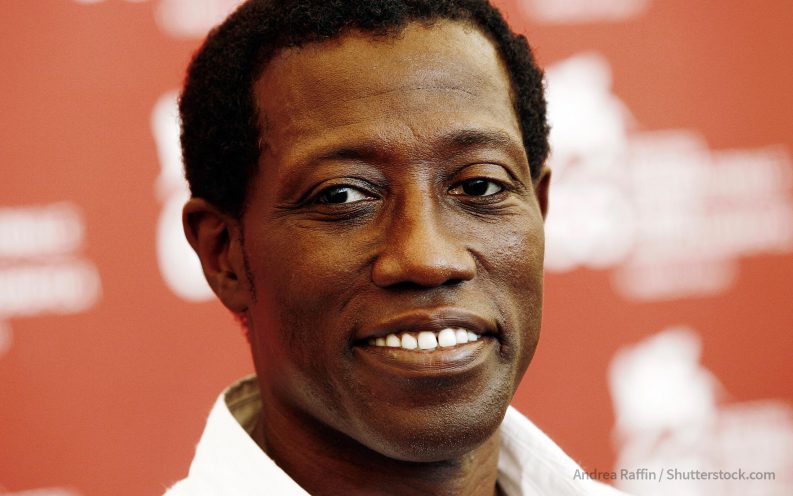 Wesley Snipes tax evasion Wesley Snipes tax evasion