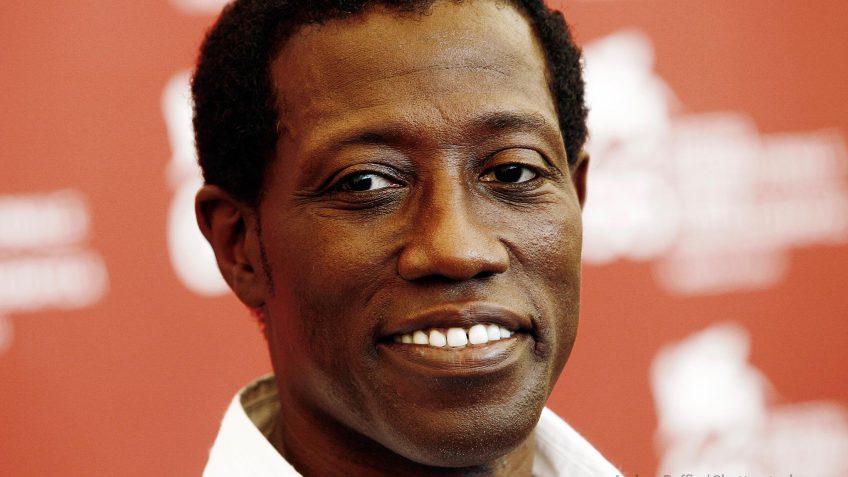 Wesley Snipes tax evasion Wesley Snipes tax evasion