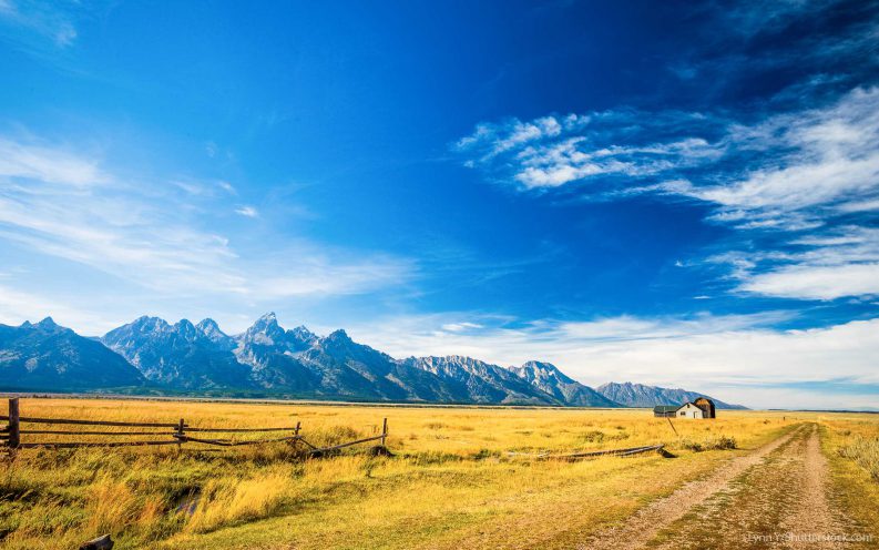 financial deal breaker Wyoming financial deal breaker Wyoming