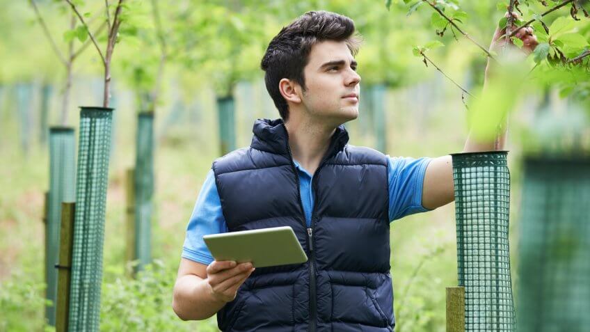 Forest and Conservation Worker