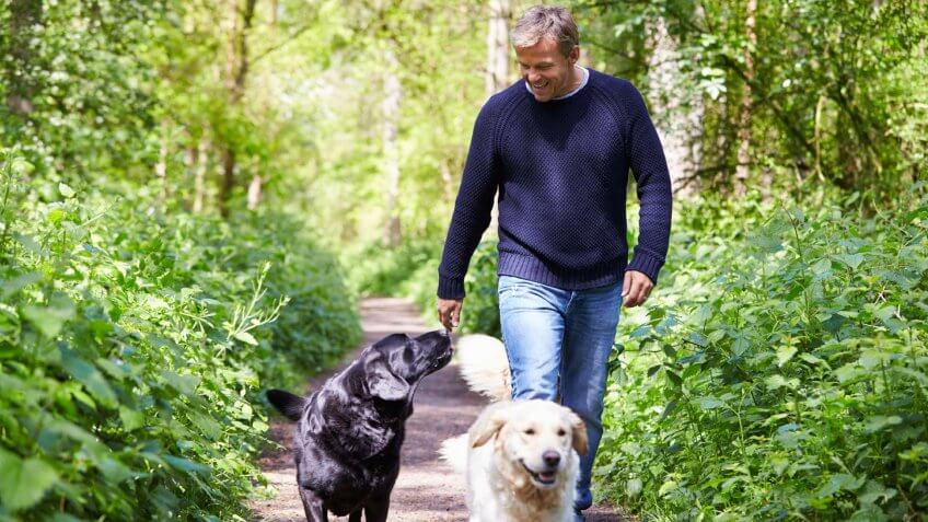 man walking his two dogs
