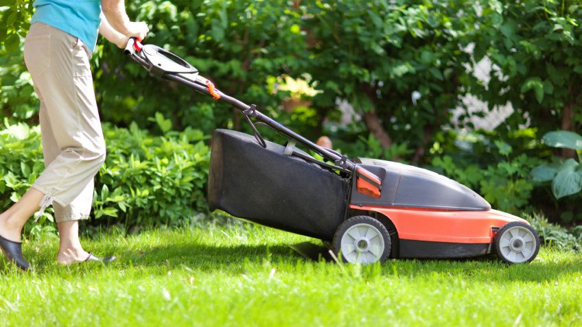 lawn-mower