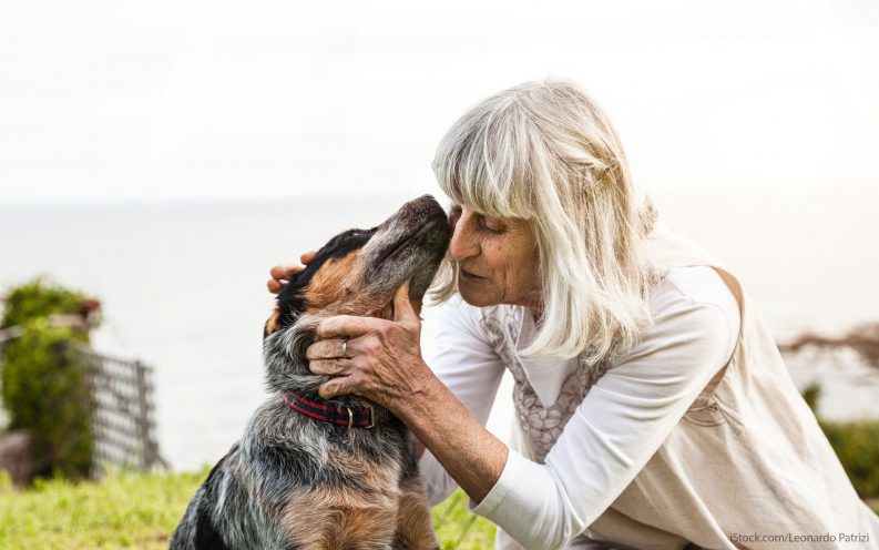North Carolina Pet Tax North Carolina Pet Tax