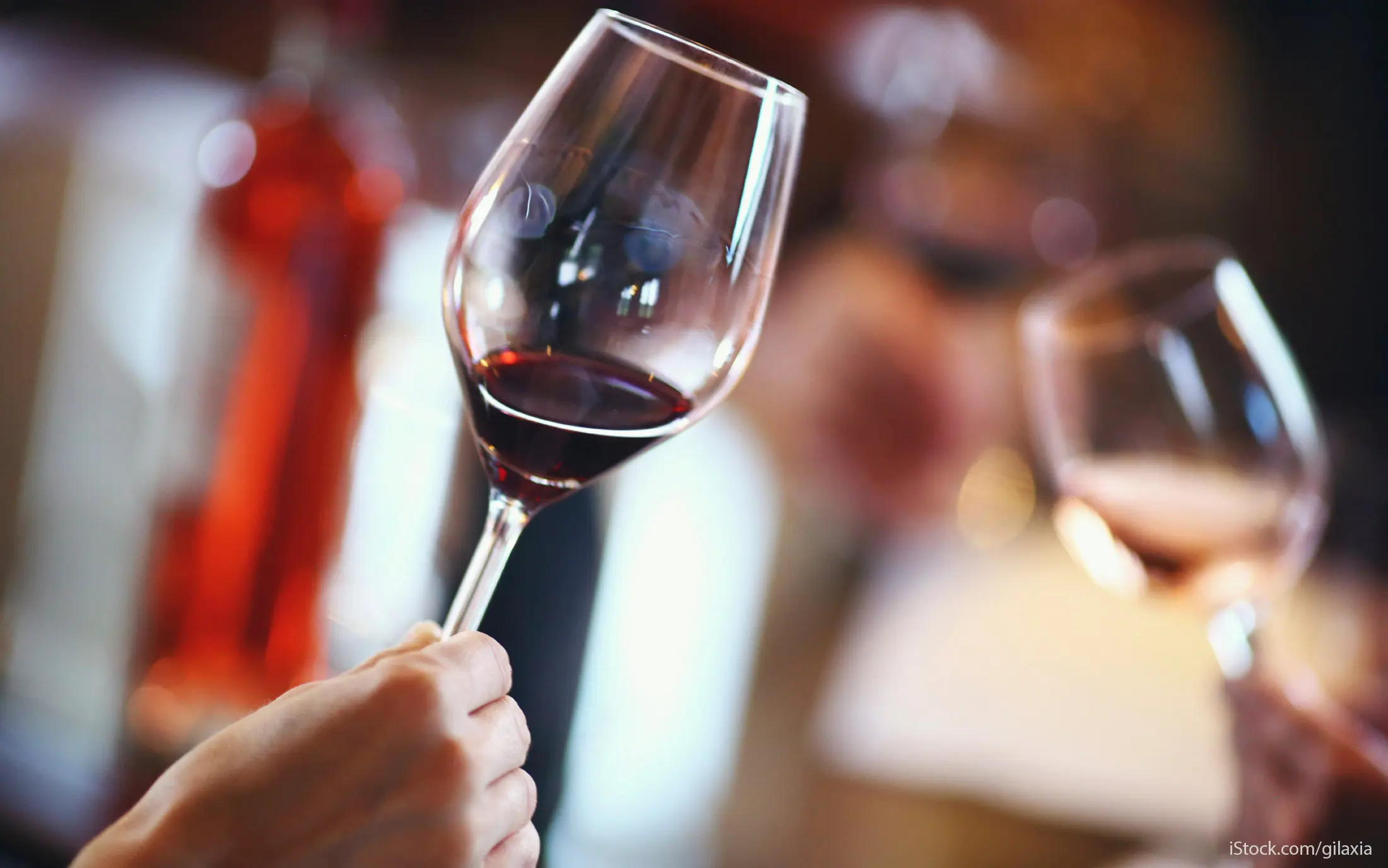 fine wine investment