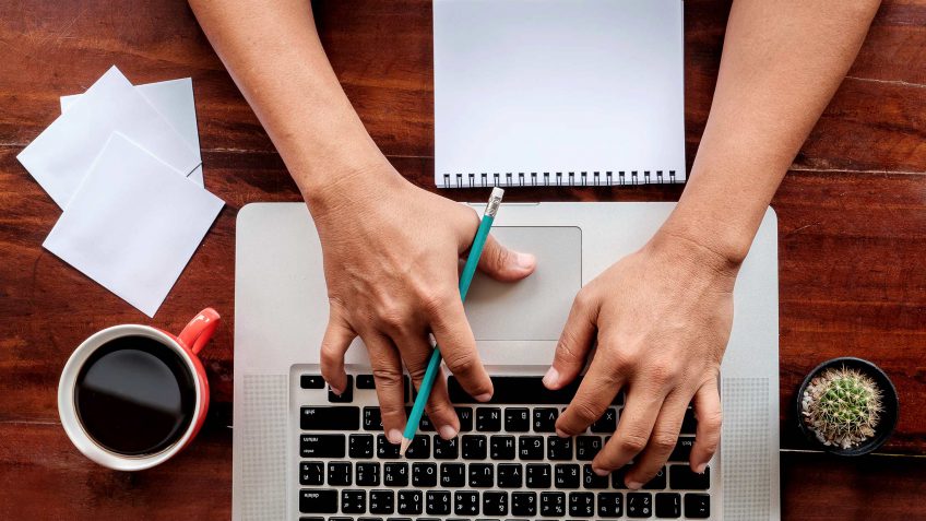 web developer web developer