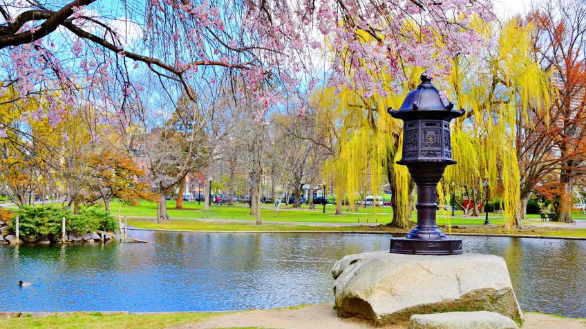 homes for sale in MA