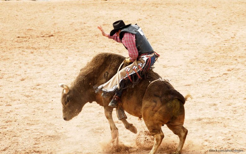 bull riding bull riding