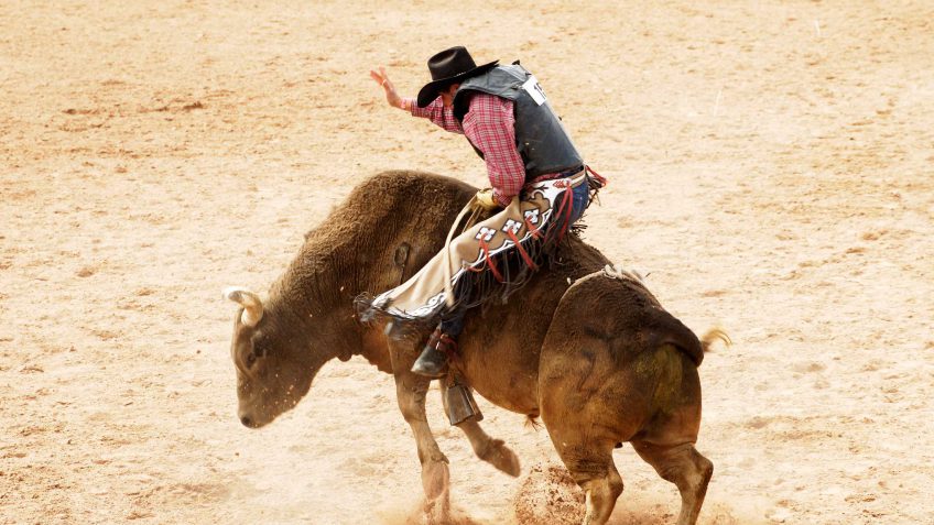 bull riding bull riding