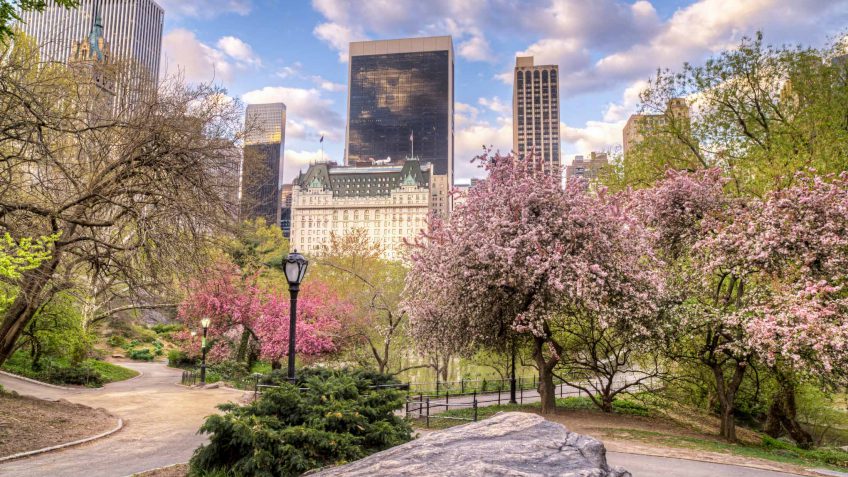 New York real estate