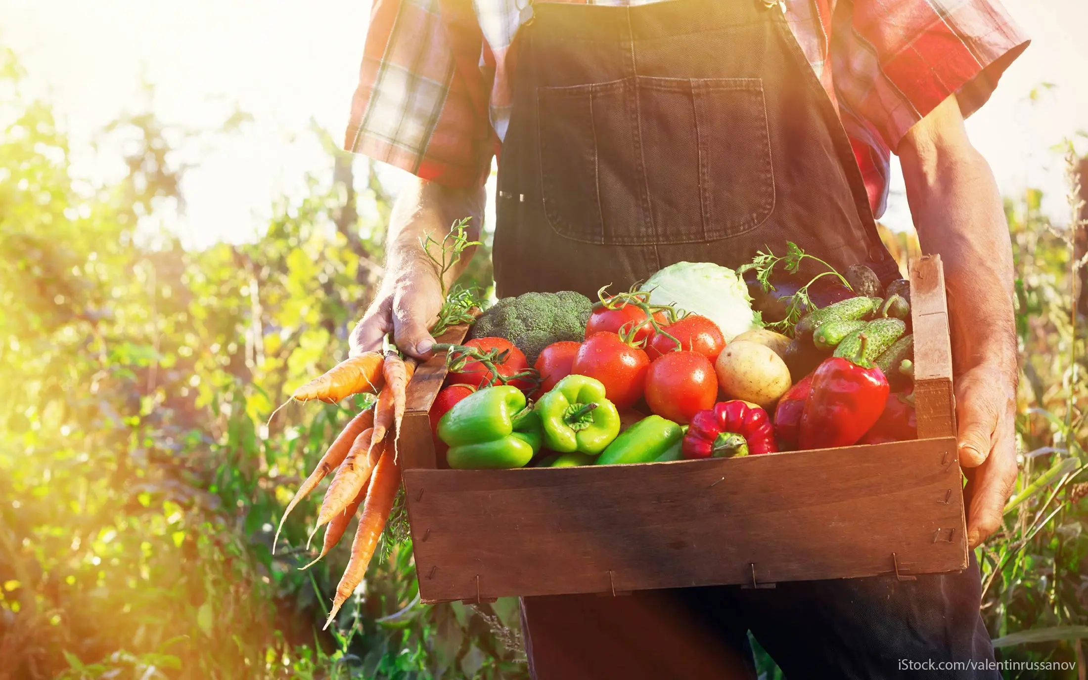 WhiteWave Foods