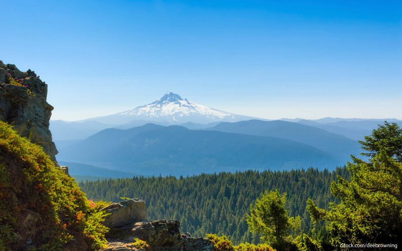 7_iStock_000056440888_Large.jpg