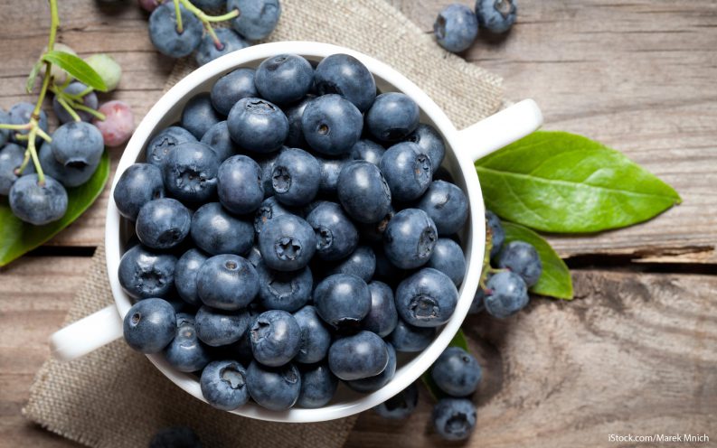 Maine Blueberry Tax Maine Blueberry Tax